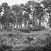 General view from the south west.
Original negative captioned: 'Louden Wood Circle, Pitfour near Mintlaw, view from S.W. 1907'.