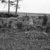 General view from the east.
Original negative captioned 'Druidstone Circle, Premnay, by Insch Viewed from East side. May 1904'.
