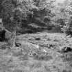 View from the south east of the central cairn.
Negative captioned: Stone Circle at Whitehill wood Monymusk June 1906 View from South East Showing position of Recumbent Stone, Pillars and inner Rampart."
