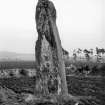 View of standing stone.
Original negative captioned 'The "Lang Stane o' Craigearn" near Kemnay Feb 1903'.