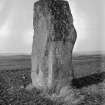 General view of standing stone.
Negative captioned: 'Standing Stone on Farm of Woodend near Kemnay Feb 1903 / nearly 11 ft high and 4 ft wide'.