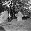 View of three stones, two standing and one lying.
Original glass negative, captioned 'Remains of Stone Circle at South Fornet, Skene, May 1904'.