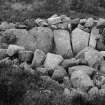 General view of cairn.
Original negative captioned: 'Cairn near Sundayswells, Learney by Torphins'.