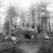 View of recumbent and flankers.
Original negative captioned: 'Stone Circle near Dyce. Altar stone from inside Circle. March 1902'.
