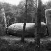 View of recumbent stone and flankers.
Original negative captioned 'Cothiemuir Wood Circle, Keig. View from south June 1904'.