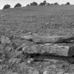 View of cist.
Original negative captioned: '"General Camie's Grave" Cist near Braeside Farm Thainstone April 1903'.