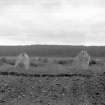 General view from the north.
Original negative captioned 'Cullerlie Circle on Standingstones Farm, near Garlogie, Echt, viewed from North side July 1902'.