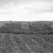 General view.
Original negative captioned 'Cullerlie Circle, on Standing Stones Farm, near Garlogie, Echt. Viewed from South side July 1902'.
