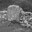 View of standing stone incorporated into stone dyke.
Original negative captioned: 'Remains of Stone Circle at Mill of Schivas Aug 1908'.