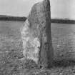 View of cup-marked standing stone.
Original negative captioned 'Cup marked Standing stone at Springhill (formerly Gask) Skene Feb 1914'.