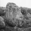 View of cup-marked standing stone.
Original negative captioned: 'Cup marks on "St Brandans Stones", Tillynaught '06 / 1906'.