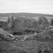 View of recumbent stone and flankers.
Original negative captioned: 'Recumbent Stone and Pillars of Greater Circle at Eslie, Durris / View from outside of circle 1907'.