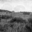 General view of circle.
Original negative captioned: 'Stone Circle at Auchquhorthies near Portlethen Station / Oct 1904'.
