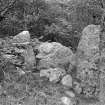 View of recumbent stone and flankers.
Original negative captioned: 'Clune Hill Stone Circle, Recumbent Stone & Pillars 1904'.