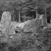 View of recumbent stone and pillars.
Original negative captioned: 'Clune Hill Stone Circle, Durris. Recumbent Stone from S.W.  / June 1917'.