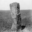 View of standing stone.