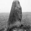 View of standing stone.