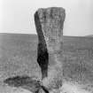 View of standing stone.