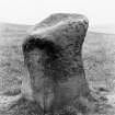 View of sole surviving standing stone.
Photograph taken on a different occasion from AB 2489.