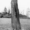 View of standing stone.
Photograph taken on a different occasion from AB 2538.