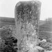 View of standing stone.