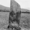 West side of standing stone, displaying several cup marks.
