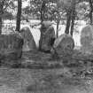 General view of the stone circle.