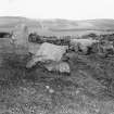 General view of remains of stone circle.
Photograph taken on different occasion from BN 978.