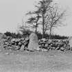 General view of stone circle.