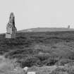 General view of the standing stones in heather moorland.