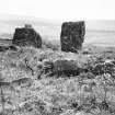 View showing three uprights of stone circle and kerb of ring-cairn.
Print card captioned: 'Northern circle - view from N.E., showing inner hollow, standing stones on outer part of ring on S.W. and outer standing stones beyond.'
Perspective opposite to that of KC 378.