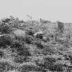 View of southern ring cairn from the east.