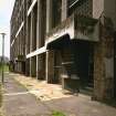 Edinburgh, Wester Hailes Park.
Detail of specimen block.