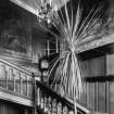 Photograph showing interior- general view of Staircase with large plant in foreground
Digital image of ST 3386
