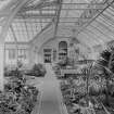 View of conservatory, Seafield House, Ayr.
