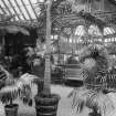 Interior -view of conservatory
