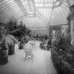 Interior-general view of Conservatory of Curling Hall, now demolished
Digital image of B 64181