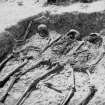 Digital copy of image of skeletons found in the late 1940s during excavations by Brian Hope-Taylor
