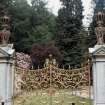 Argyll, Benmore, Younger Botanic Garden.
The Golden Gates.