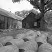 Aberfeldy Distillery
View from NW of Cooperage with barrels in foreground.
Digital image of C 35430.