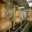Still Room: view of 3 (steam-heated) stills (L to R): No 1 Low Wines Still, 9587 litres; Wash Still; No 2 Low Wines Still, 7628 litres, all R & G Abercrombie of Alloa, dated 1962. Rosebank is one of only 2 triple-distilled whiskies in Scotland
Digital image of C 19607 CN