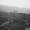 General view of Cleadale houses, Eigg
