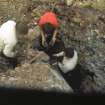 Copy of colour slide showing detail of excavation at Tor A'Chorcain, Langwell -
OP-8 Fred ( Glasser) showing vit. specimen to Gordon and Sheldon( Fay). Bird's eye view
NMRS Survey of Private Collection
Digital Image only