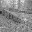 Remains of sawmill, view from North East
Digital image of D/31650