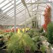 View of interior of greenhouse from East.
Digital image of D 47440 CN.