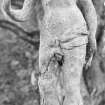 Detail of garden statuette.
Digital image of PB 559.