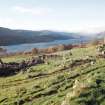 General view of S and central farmsteads from ENE, with Loch Tay in background.