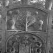 View of gravestone of Alexander Thomson, 1779, with emblems of a gardener.