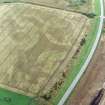 Oblique aerial view of Purlieknowe centred on the cropmarks of a pit-defined cursus with linear cropmarks and a possible pit-alignment adjacent, taken from the S.