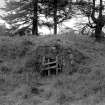 Bamff House, Ice House.
General view.